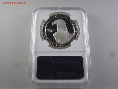 США 1 доллар 1983 в слабе NGC PF69 до 10.08 22:00 МСК - DSC02493_новый размер.JPG