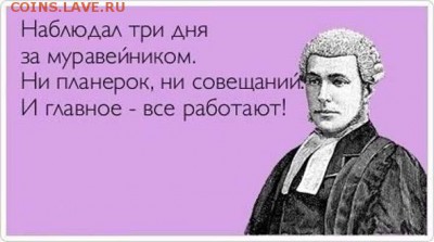 юмор - 00 Муравейник
