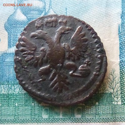 полушка 1734 года - P1130616.JPG