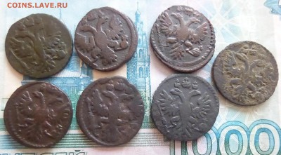 Полушки 1731-1735 года 7 шт - P1130608.JPG