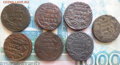 Полушки 1731-1735 года 7 шт - P1130606.JPG