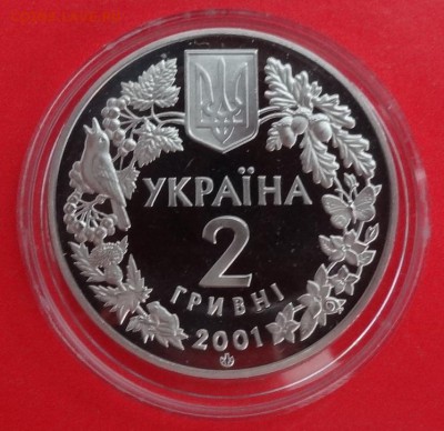 Украина 2001 Фауна - Рысь до 08.08.2015г 22-00 - DSC05566.JPG