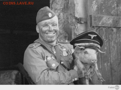 События на Украине. - порос