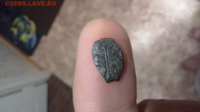 помощь в определении и оценки чешуи - 353274