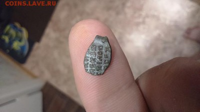 помощь в определении и оценки чешуи - 352091