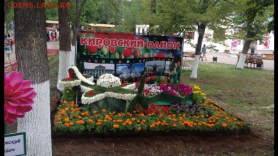 делает - прямо сейчас !!! - image