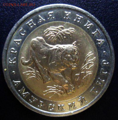 Кр.книга Амурский тигр лот 1- до 14.08.15 - SAM_5589.JPG