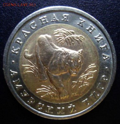 Кр.книга Амурский тигр лот 2- до 14.08.15 - SAM_5587.JPG