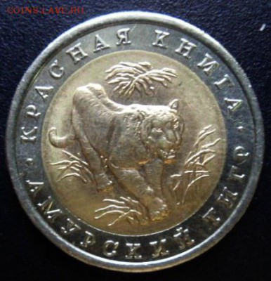 Кр.книга Амурский тигр лот 3- до 14.08.15 - SAM_5585.JPG