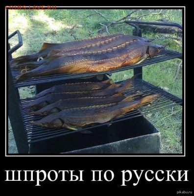 А что у нас делается в России? - 1410843718_1097294507