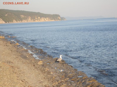 делает - прямо сейчас !!! - IMG_4493.JPG