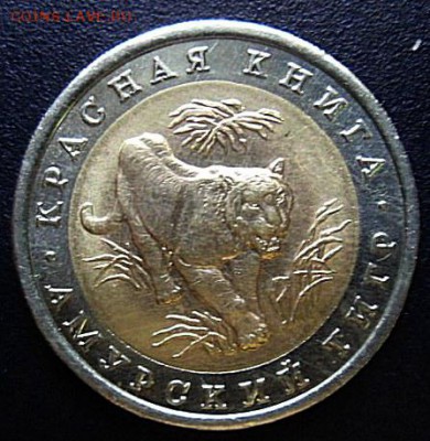 Кр.книга Амурский тигр лот 3- до 14.08.15 - SAM_5585.JPG