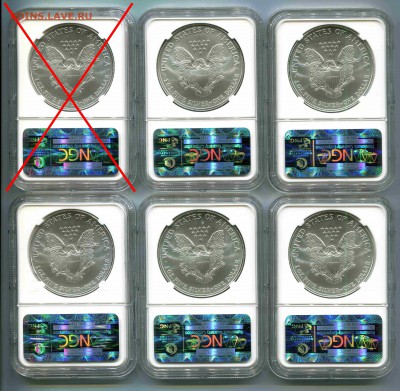 1 доллар США 2005, Свобода в слабе NGC, BU,  по фиксу, 5 шт. - Сканирование__542