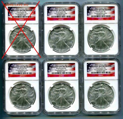 1 доллар США 2005, Свобода в слабе NGC, BU,  по фиксу, 5 шт. - Сканирование__541