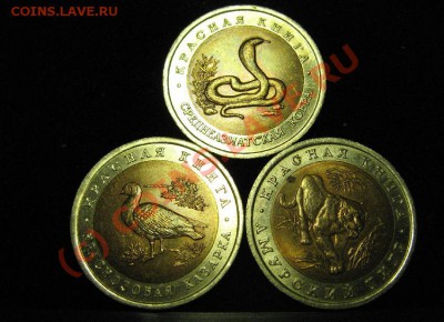 КРАСНАЯ КНИГА 1992г. до 4.08.2010г. 22-00 - 603.JPG