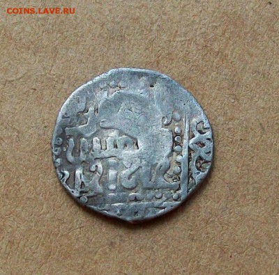 ВКР Олег Иванович "ранняя, малая тамга" - 100_7218.JPG