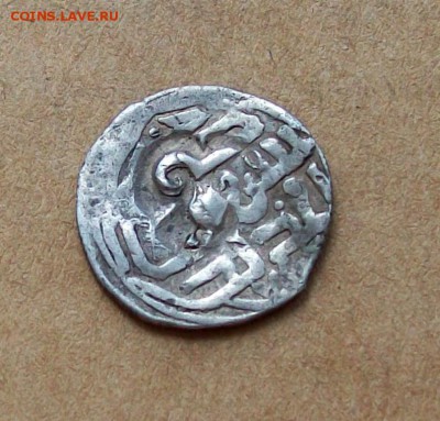 ВКР Олег Иванович "ранняя, малая тамга" - 100_7217.JPG