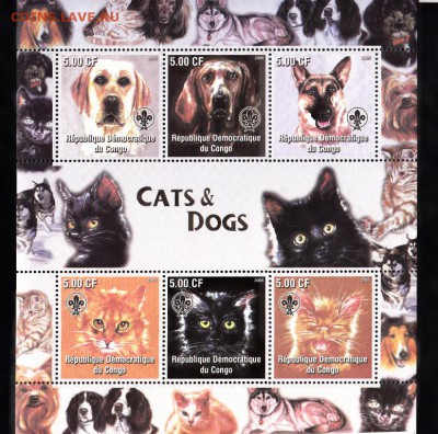 Конго кошки лист 2005 - 1