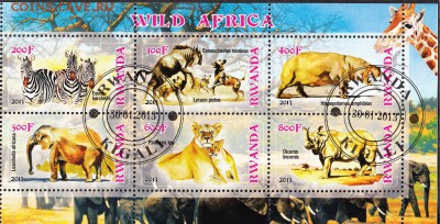 Руанда 2013 фауна Африки - 19