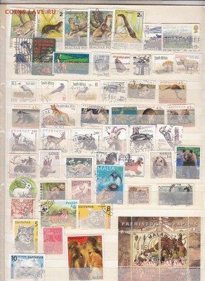 Фауна разные страны 122марки - 24