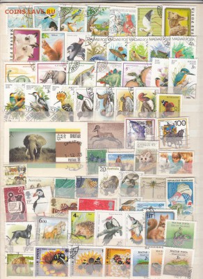 Фауна разные страны 122марки - 24а