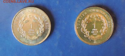 1 лира 2015 г. (2 шт. ) Турция. Коза, Кошка  до 15.08.15 г. - DSCN9875.JPG