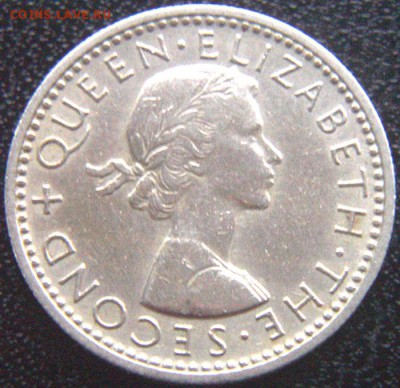 Новая Зеландия_6 пенсов 1956 "Птица гуйя"; до 13.08_22.16мск - 10220