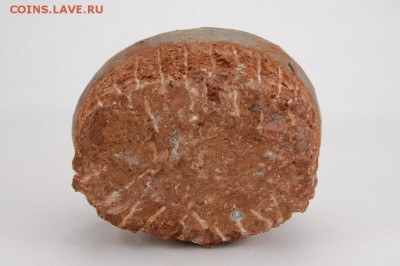 Яйцо динозавра? - 3511880977_1