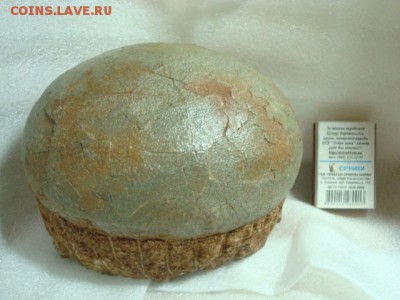 Яйцо динозавра? - DSC07994.JPG
