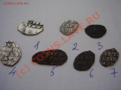 Чешуйки Петра, 7 шт., до 09.08 до  21:00 Москвы - P3090930.JPG