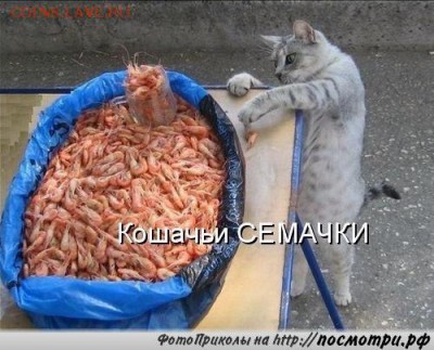 делает - прямо сейчас !!! - image