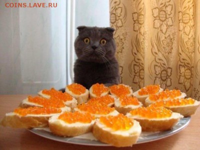 делает - прямо сейчас !!! - image
