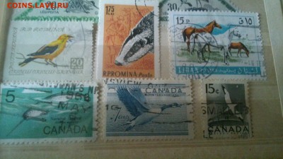Фауна разных стран гашёнка, 44 марки+малый лист середина XXв - uFl-K0EFCR4