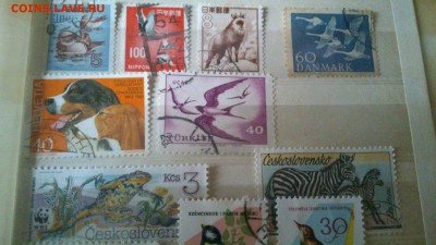 Фауна разных стран гашёнка, 44 марки+малый лист середина XXв - w48_nJQJgXI