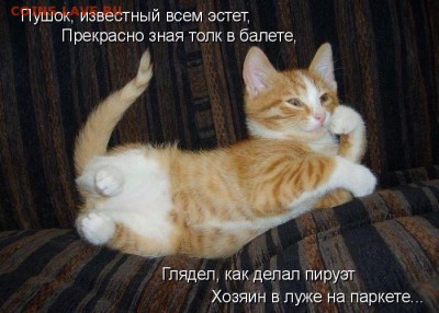 делает - прямо сейчас !!! - image
