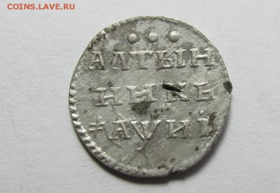 Алтынник - IMG_0837.JPG