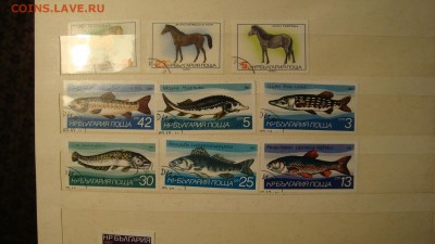 Альбом с марками на оценку. - DSC02909.JPG