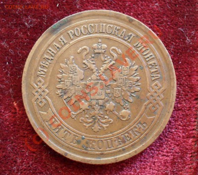 5 копеек 1875 года ЕМ - Изображение 1138