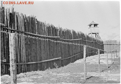 События на Украине. - гулаг-карел-2