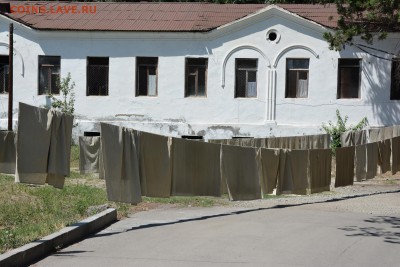 ФОТО - просто фото. Те что получились удачными. - DSC_2255.JPG