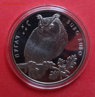Украина 2002 Фауна - Пугач (Филин) до 19.08.2015г 22-00 - DSC06277.JPG