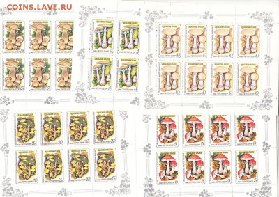 СССР 1986 комплект малых листов грибы - 5