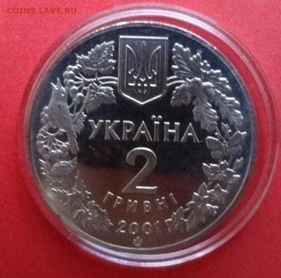 Украина 2001 Фауна - Рысь_2 до 22.08.2015г 22-00 - DSC06249.JPG