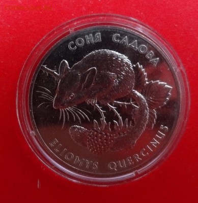 Украина 1999 Фауна - Соня садовая до 22.08.2015г 22-00 - DSC04153.JPG