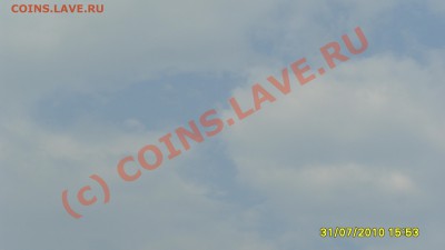 Вот такие - S1051442.JPG