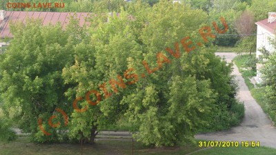 И немного зелени - S1051443.JPG