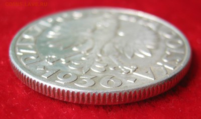ПОЛЬША 5 злотых 1936. Парусник. ПРЕДПРОДАЖНАЯ. - 034.JPG