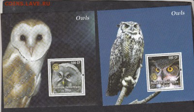 конго 2004 совы 2 блока - 72