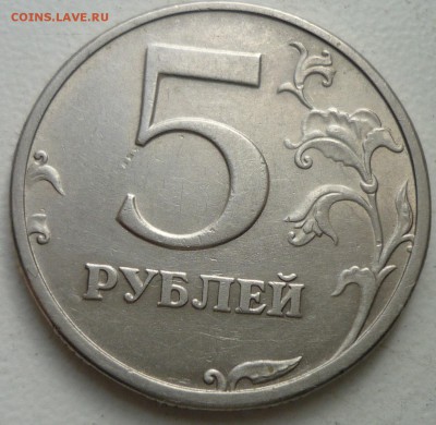 5р2003 - P1130573.JPG