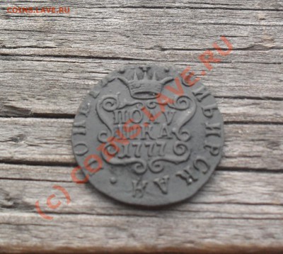 Оценка:поАушка 1777.Сибирь - SDC12764.JPG